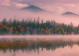 包含里程碑夜！纽约尼克斯门线救险，CBA常规赛国际比赛日刷纪录，悬念犹存，年轻球员得到机会的词条
